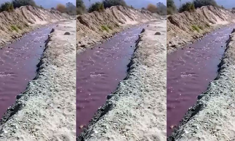 El agua de un río en Cafayate se "convirtió" en vino y usuarios recordaron a Jesús 1