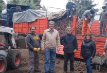 Pastores gestionaron el envío de 30 toneladas de papas para repartir en su ciudad 3