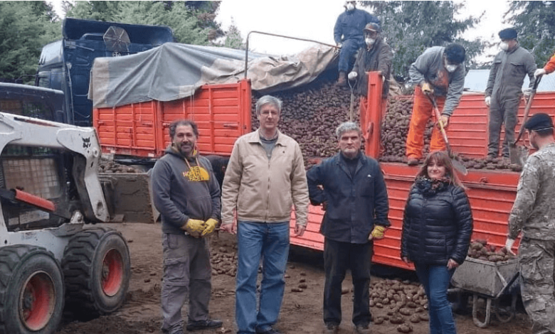 Pastores gestionaron el envío de 30 toneladas de papas para repartir en su ciudad 1