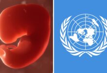 Ganó la Vida: la ONU desistió en imponer el aborto como excusa por la pandemia 3