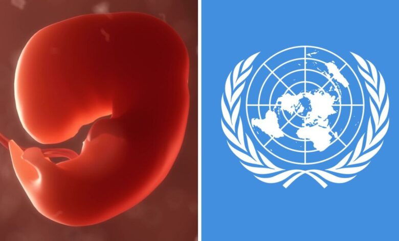 Ganó la Vida: la ONU desistió en imponer el aborto como excusa por la pandemia 1
