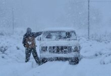 La historia detrás de la foto viral de un pastor de Neuquén en medio de la nieve 2