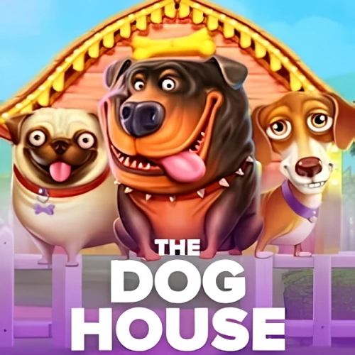 Diviértete jugando a la tragamonedas The Dog House en Stake oficial.